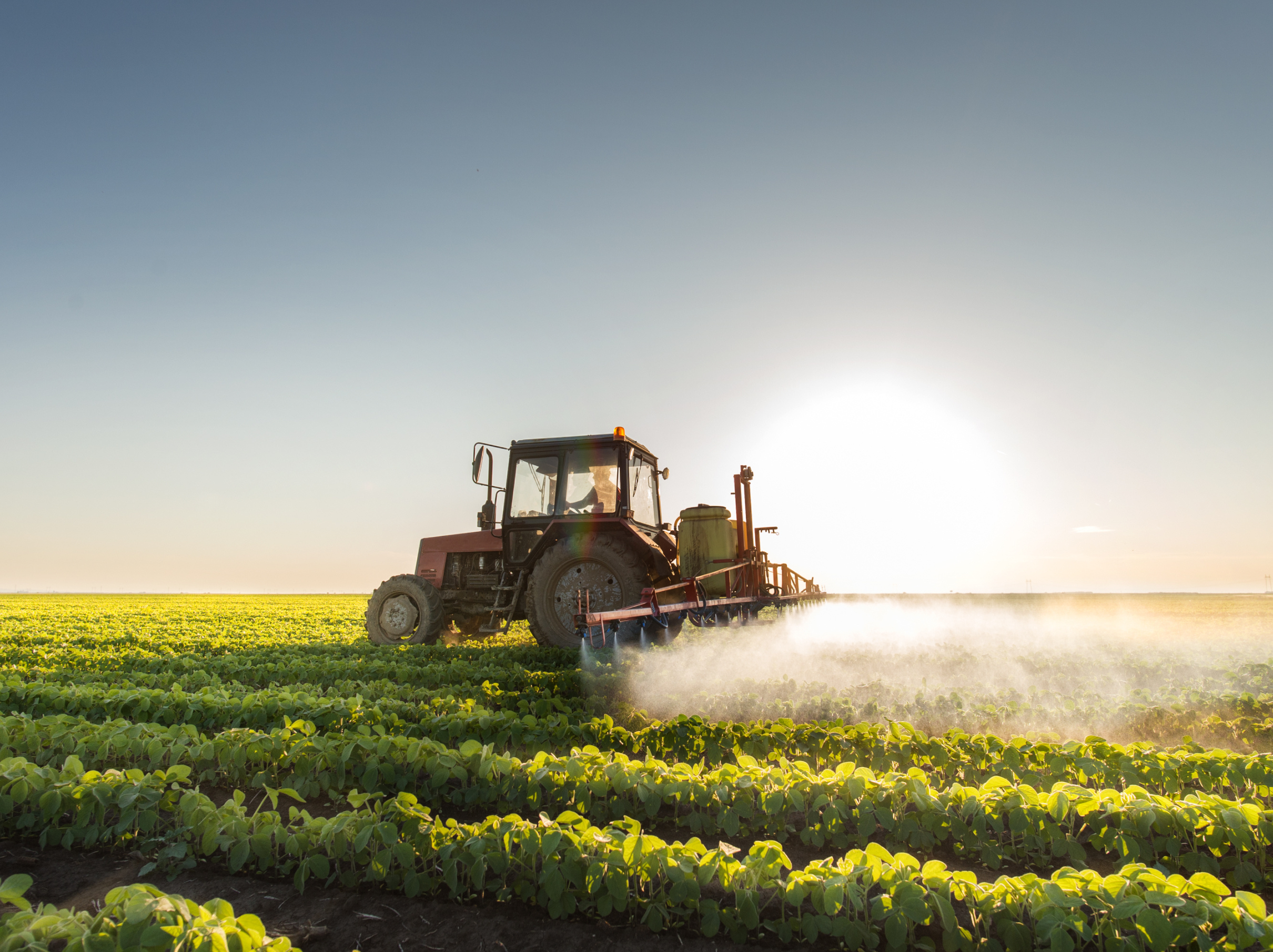 Fuel Pressures, Farming Adaptation, and the Path to a Lower Carbon Future