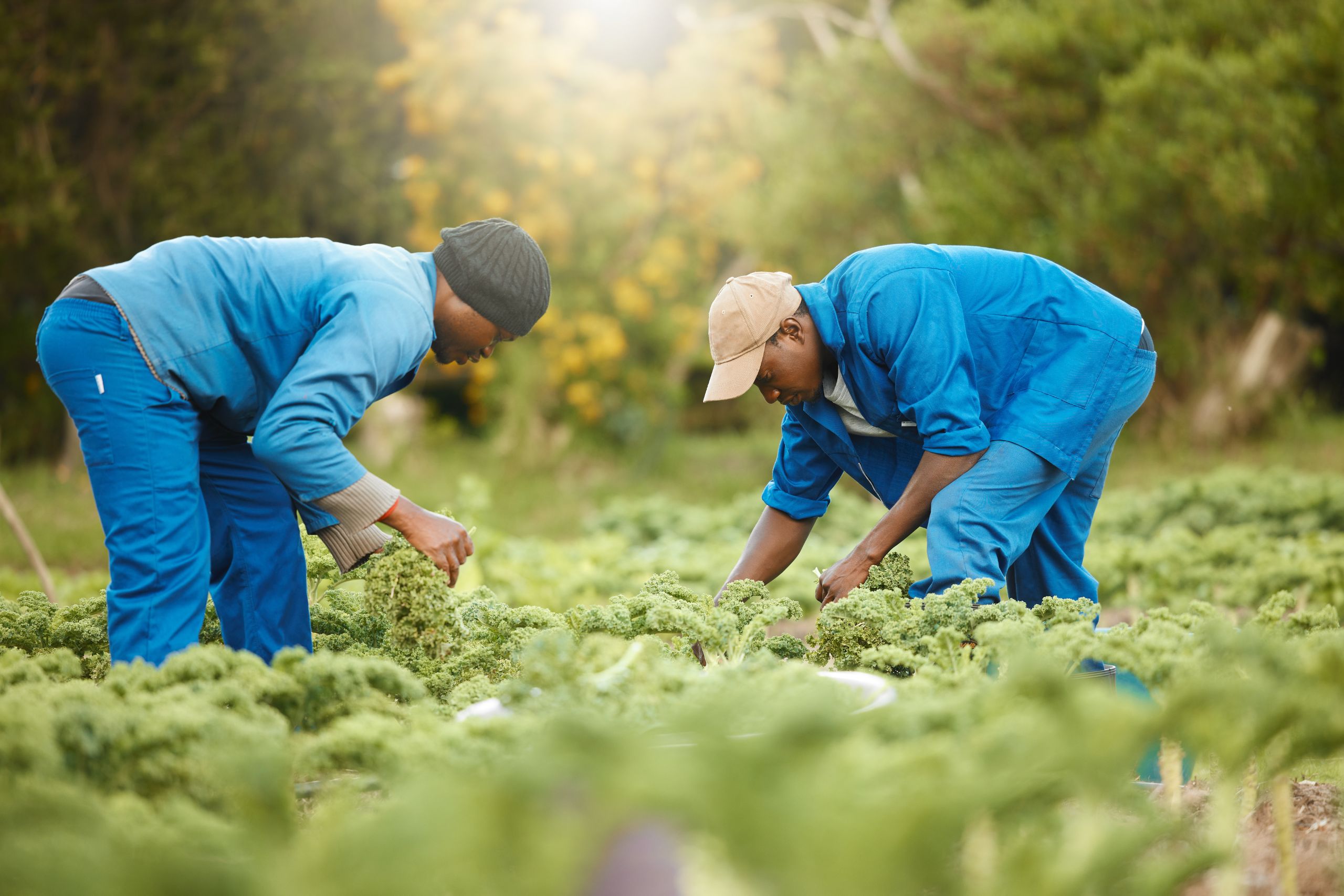 Navigating the Risks Around Seasonal and Temporary Labour