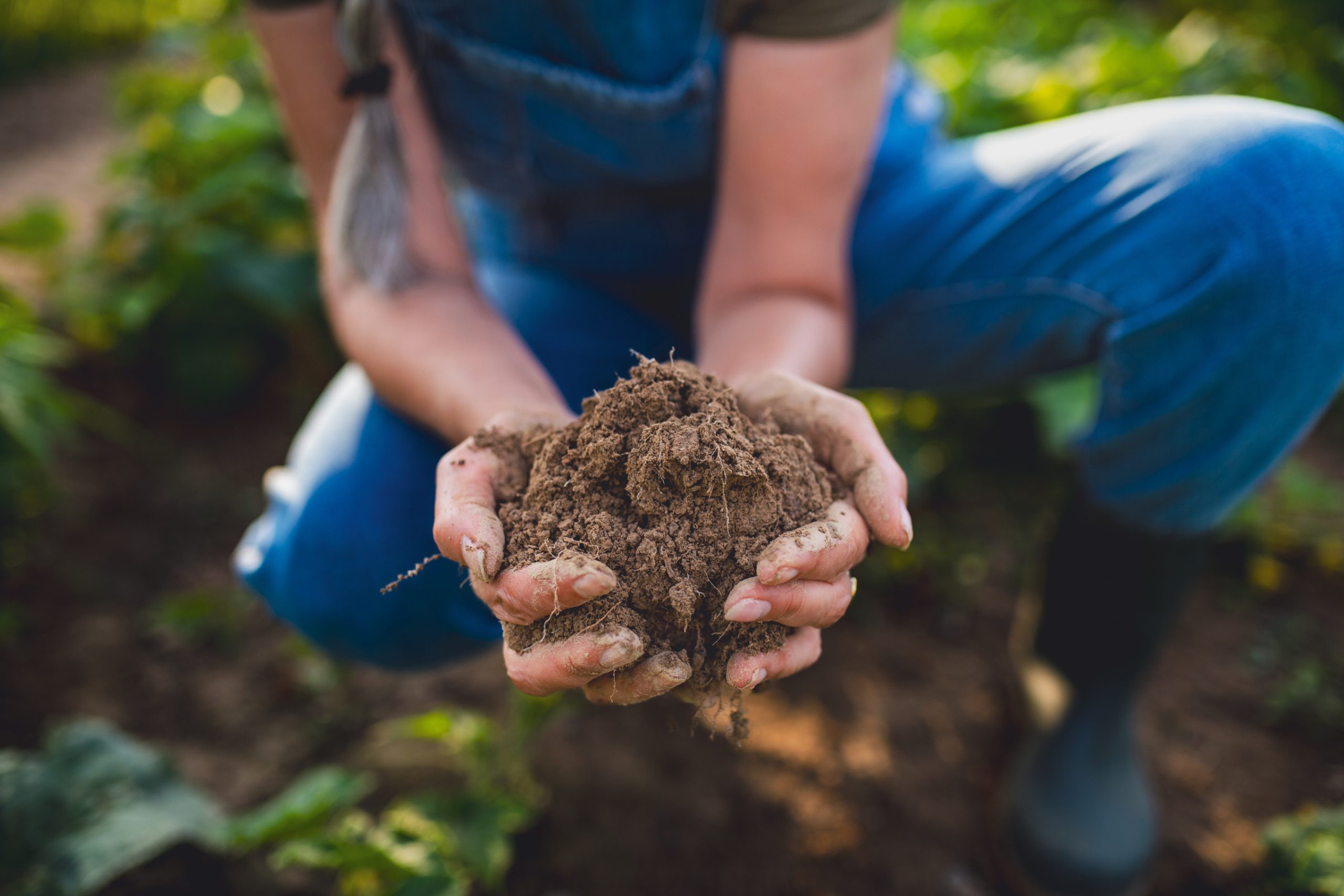 From Farm-Level to Environmental Decisions