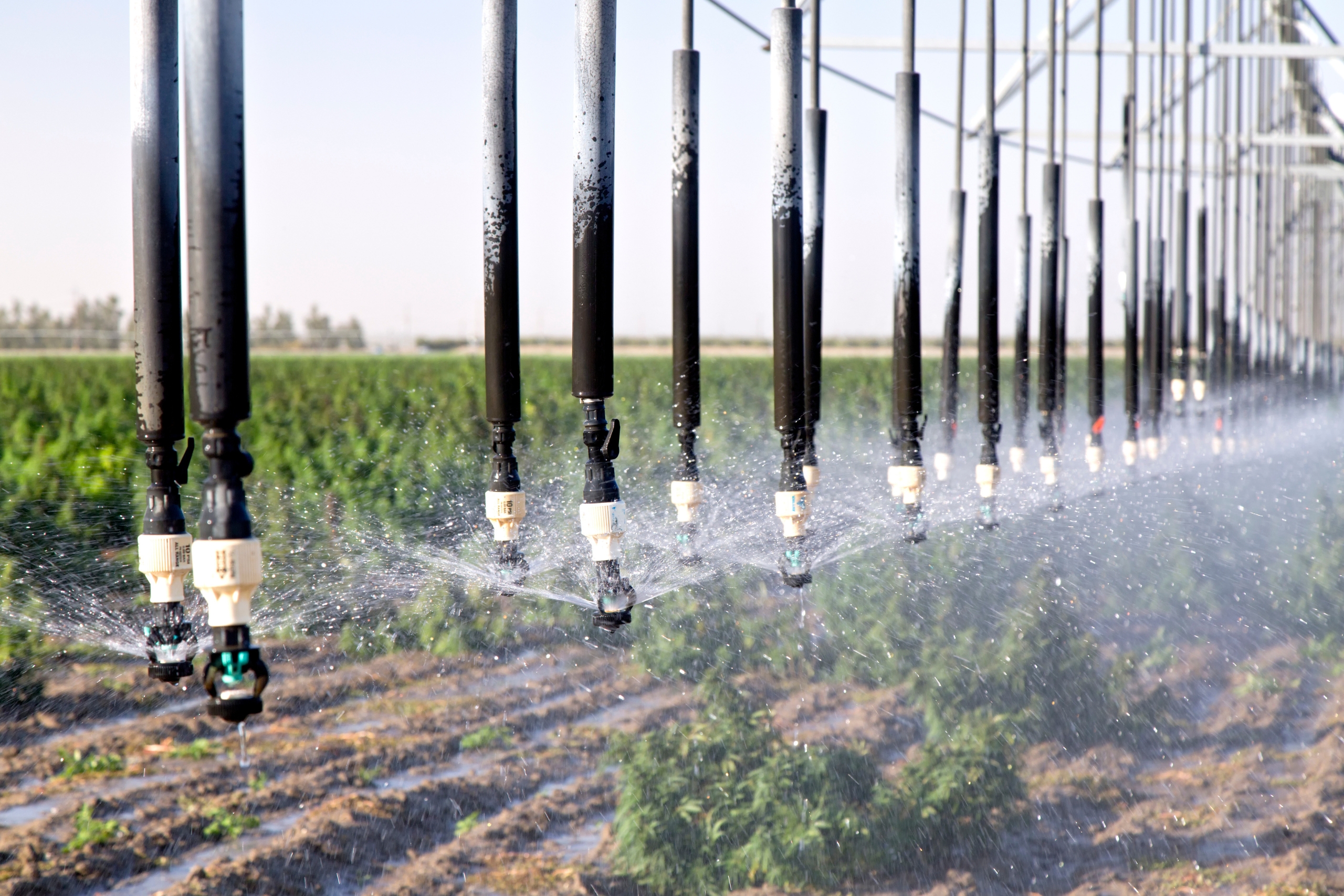Water Use and Water Resource Impacts:  How will an auditor evaluate these practices?